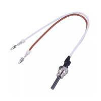 Bougie de préchauffage 12V pour chauffage diesel Eberspacher Hydronic D5WS D4WSC B5WSC, allumeur pour chauffage d'eau de stationnement auto/camping-car