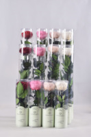 HFloral Saint Valentin Cadeau Fleur Éternelle Rose Préservée Avec Tige Vraie Fleur Préservée Roses d'Austin Pour Fleuriste