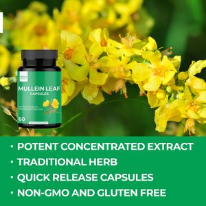 כמוסות תמצית עלי מולין אורגניות טבעיות בסיטונאות מבית חרושת ג'ולונג, תוסף תזונה למבוגרים - Product Image 3