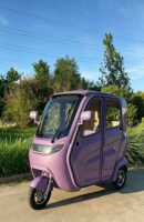 Tricycle électrique familial compact à 3 roues, cabine scellée, nouvelle énergie, 3 places pour adultes, pour les trajets quotidiens