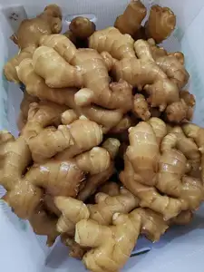 Légumes frais gingembre délavés de la chine, 20 pièces, gingembre frais