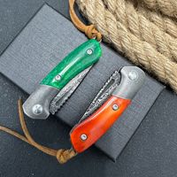 Fabrikant Zakmes VG10 Damascus Staal Ambidextrous Vouwzakmes Survival Fruitmes Draagbaar Kampeermes