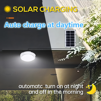 Lampe solaire d'intérieur et d'extérieur étanche avec panneau solaire et télécommande pour maison