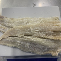 Salt Pollock Fillets Dry Salted Pollock Fish Fillet of GOOD PRICE and GOOD QUALITY