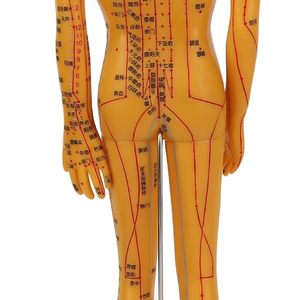 Modelo de Acupuntura del Cuerpo Humano de 53 cm, Maniquí de Acupuntura para Enseñanza China, Modelo de Puntos de Presión para Acupunturistas - Product Image 5