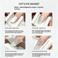 Perles de verre larges de style français pour nail art, outil magnétique puissant en plastique 5D pour effet œil de chat automatique
