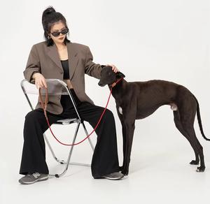 Tali kekang hewan peliharaan, tali anjing besar terintegrasi P nilon dan rantai dengan tombol penutup empuk - Product Image 1