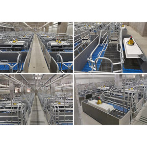 Casse da parto per suini/scrofe/suini - Product Image 6