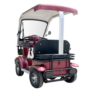 Mini-buggy électrique léger S1-3 pour adultes, <span class=keywords><strong>2</strong></span> places, 60V 20/32AH, avec porte-bagages et frein électrique en option, idéal pour le stationnement - Product Image 5