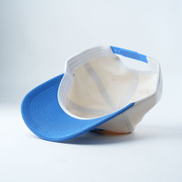 Gorras de Perfil Bajo con Visera Ligeramente Curvada, Diseño Personalizado OEM de Alta Calidad, 5 Paneles, con Logotipo Bordado Plano