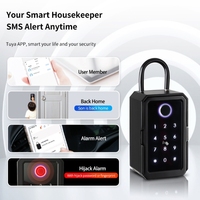 Fingerabdruck-Tuya-Smart-Schlüsselbox RFID-Karte Passwort App-Steuerung Zinklegierung IP65 Wasserdichter Wandmontierter Schlüsselsafe