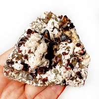 Minerai minéral naturel rare Paragenic Fanta Garnet Cluster Smoky Quartz Spécimen minéral pour la collecte