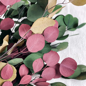 Foglie di <span class=keywords><strong>Eucalipto</strong></span> Preservate Artigianali Eco-Friendly, Fiori Secchi Ornamentali, Vendita all'Ingrosso, Lunga Durata, Fai da Te, San Valentino - Product Image 5