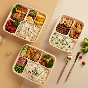 Eco Friendly Product 2023 Disposable Corn Starch Paper Plastic Food Tray Container Lunch Box