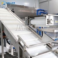 Machine à glaçons commerciale pour restaurants et cafés, capacité de 3 tonnes, pour l'Amérique du Sud, avec moteur, engrenages et PLC essentiels