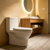 Vente en gros de WC monobloc de luxe en céramique, sans bride, à chasse d'eau Tornado, avec jupe, à siphon, moderne