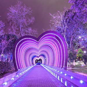 Christmas Decoration <strong>Light</strong> RGB Large Time Tunnel LED IP65 Waterproof for Parks Garden Outdoor <strong>Spaces</strong> Decorative <strong>Light</strong> - Product Image 5