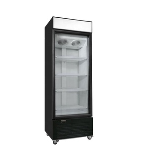 Réfrigérateur de présentation de boissons haut de gamme à économie d'énergie - 220V LED Température numérique Réfrigérant R290 Hôtels - Product Image 1