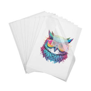 Película PET para Impresión por Transferencia de Calor DTF, Rollo de Película de 30 y 60 cm, Despegue en Frío y en Caliente, Impresora de Inyección de Tinta, Película de Transferencia PET DTF - Product Image 1