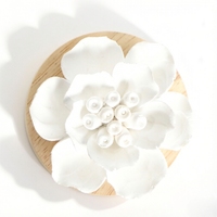 Diffuseur d'arômes en céramique parfumée aux huiles essentielles, pierre désodorisante pour la maison et la garde-robe