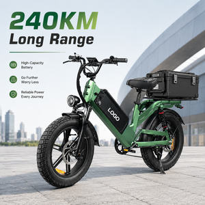 Bicicleta Eléctrica de Reparto D55, 750W, Neumático Grueso de 20'', 48V55Ah, E-MTB, 240km de Autonomía, Bicicleta de Carga OEM al por Mayor - Product Image 1