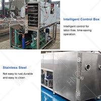 HNOC Industriële 30kg 60kg Vriesdroogmachine voor Fruit, Vlees, Blauwe Bessen, Vacuümvriesdrooglijn voor Bloemen
