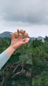 Allume-feu en laine de bois naturelle écologique, ignifuge, pour cuisine extérieure, barbecue intérieur, camping, accessoires de cuisson, grille de cuisson - Product Image 5