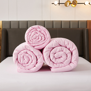 Couette matelassée rose, garnissage polyester, hypoallergénique, respirante, pour automne-hiver, taille Queen, lavable en machine - Product Image 6