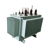 Transformateur de distribution immergé dans l'huile triphasé S20 à haut rendement énergétique 50-315 kVA 50 Hz/60 Hz IEC60076 Cuivre OEM