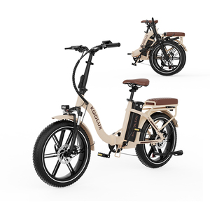 Vélo électrique de ville KOOLUX X16 250W pour adultes, batterie lithium 15.6Ah 48V, porte-bagages arrière, 7 vitesses, pneus larges, stock UE. - Product Image 4