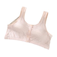 Pakaian dalam wanita, Bra dorong tanpa kelim, Bralette, pakaian dalam wanita intim, dekorasi renda seksi