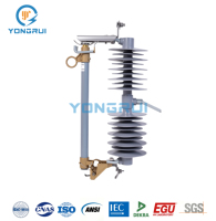 Fusibles en silicone et en porcelaine 33KV 36KV 100/200A - Vente directe d'usine, produits phares à l'étranger