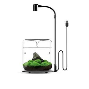 <span class=keywords><strong>Mini</strong></span> çiy toplama fincan bitkiler için nefes teraryum konteynerler, yosun, etli, çiçekler, çeşitli boyut kapaklı kavanoz handhand - Product Image 2