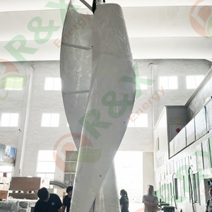 Wind Generator 3KW 5KW 10KW Spiral Shape Vertical for Home Use RX-SV2-5000 10kw Vertical Axis Wind - Product Image 2