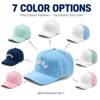Gorra de Golf de 5 Paneles con Logotipo Personalizado OEM, Impermeable, Bordada, con Perforaciones Cortadas a Láser, Gorras Clásicas de Secado Rápido