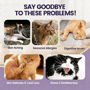 OEM/ODM Friandises à mâcher douces pour chats contre les allergies cutanées avec huile de poisson, soutien immunitaire <span class=keywords><strong>naturel</strong></span> et formule riche en protéines - Product Image 3