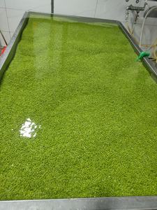 425g de pois verts en conserve, prix bas, pois verts en conserve - Product Image 6