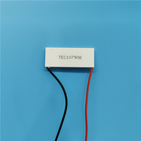 Module de plaque de refroidissement Peltier 2022 Offre Spéciale Module de panneau de plaque de refroidissement Peltier de refroidisseur thermoélectrique 12V