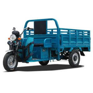 Low Price 2 Seat 3000W Hub Motor Heavy Load 3 Wheel Delivery EV Motorcycle Cargo Powerful Adult Rechargeable Electric Tricycle