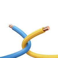 Fil de cuivre torsadé en caoutchouc JYXL 600V ROHS 200 20AWG 22AWG pour bâtiment, automobile et usage domestique (BV)