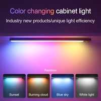 Lámparas de Inducción RGB Inalámbricas de Aluminio, Tira de Luz Regulable Desmontable con Sensor de Movimiento, Luz Nocturna con Efecto Fluido, Hogar Inteligente