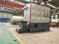Chauffe-huile thermique horizontal à biomasse de 0,7 à 5,6 MW, à grille à chaînes, alimenté à la copeaux de bois, haute température