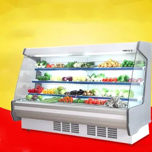 Open Koelkast Groenten Fruit Gebruikt Supermarkt Koelkast En Display Vriezer