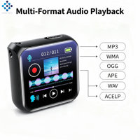 Enregistreur vocal numérique professionnel M30 Mini, connecteur TYPE-C, format WAV, alliage de zinc + matériau ABS - Fournisseur OEM d'enregistrements