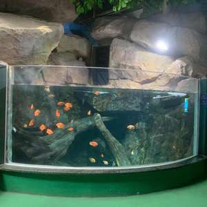 Aquariums et accessoires, <span class=keywords><strong>aquarium</strong></span> sans cadre pour requins, <span class=keywords><strong>aquarium</strong></span> pour méduses - Product Image 2