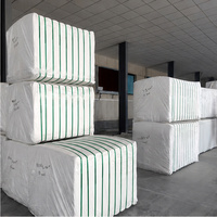 Tissu Greige TC Polycoton Direct Usine pour Métier à Tisser à Jet d'Air, Bordure Intégrée, Qualité Stable, Densité et Largeur Personnalisables