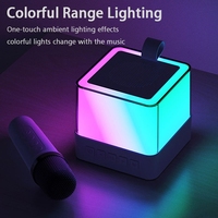 Lumières colorées à LED pour l'extérieur KTV Magic Voice Changing Small Size Big Volume Portable Machine Karaoke Speaker System