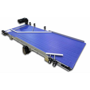 Nastro Trasportatore a Catena con Telaio in Acciaio Inox, <span class=keywords><strong>Materiale</strong></span> POM, Nuova Condizione, <span class=keywords><strong>per</strong></span> Trasporto Alimentare - Product Image 3