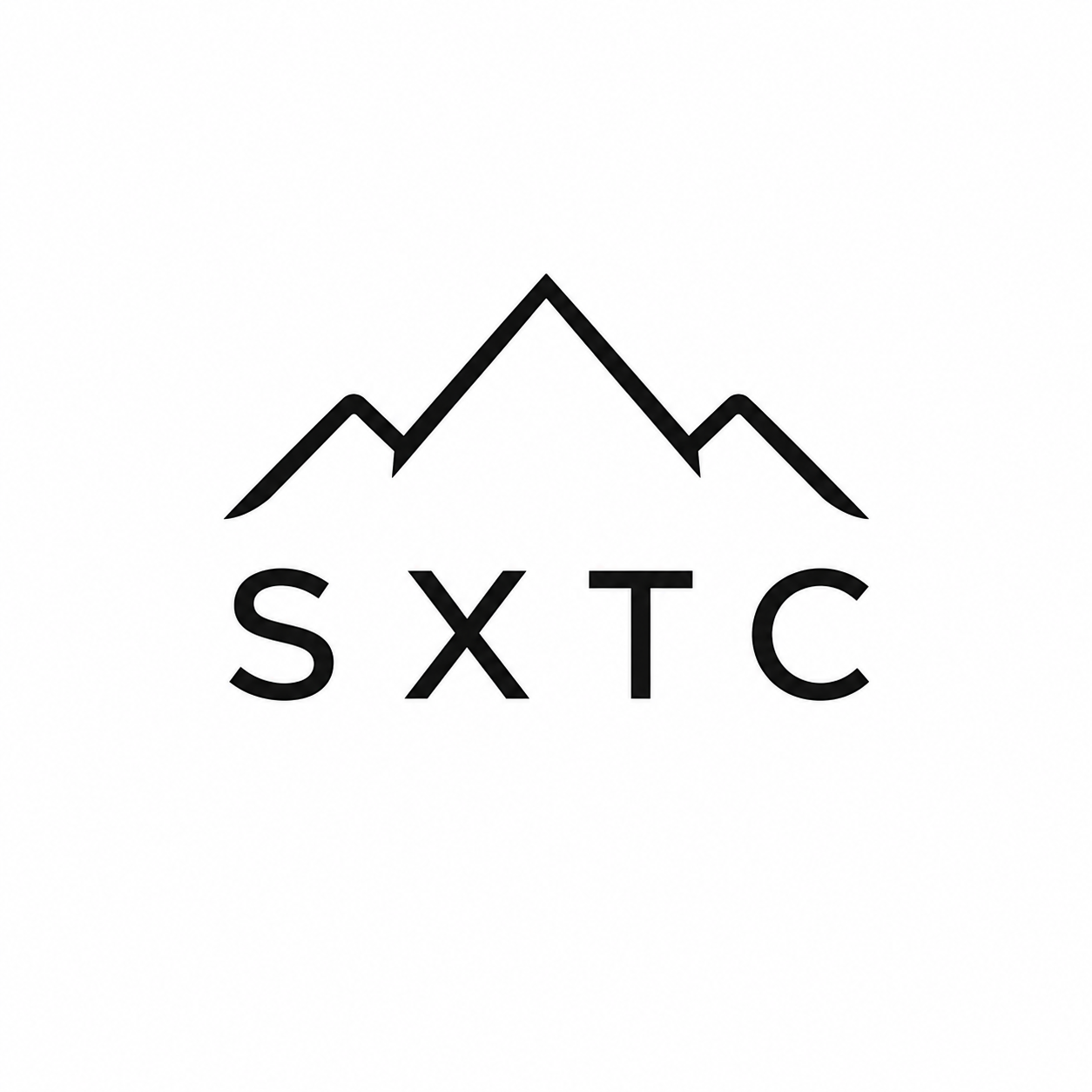 Shanghai Shunxi Technology Co., Ltd. logo