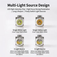 Porte-clés lampe torche de Noël en jade, promotionnel, cadeau de vacances, testeur de pierres précieuses UV 365nm, acier inoxydable IP65, boîte personnalisée